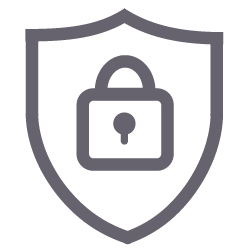 Cybersicherheit Icon